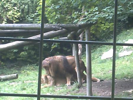 ba oui c'est la nature... lol