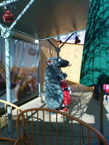 jsui d��u ratatouille il est m po bo !!