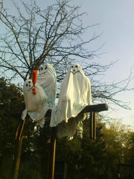 bou !!!! c haloween !